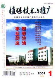 植保技術與推廣 助力農業現代化的關鍵路徑