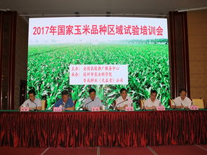 技術(shù)推廣服務(wù)中心——加速技術(shù)轉(zhuǎn)化與產(chǎn)業(yè)升級的橋梁