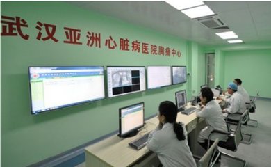 武漢頂尖心臟病醫院及其技術推廣服務探析