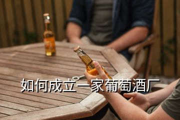 從零起步 如何成功開設(shè)一家紅酒代工廠并合法經(jīng)營(yíng)